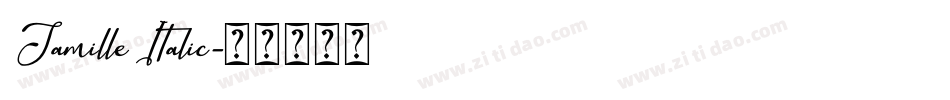 Jamille Italic字体转换